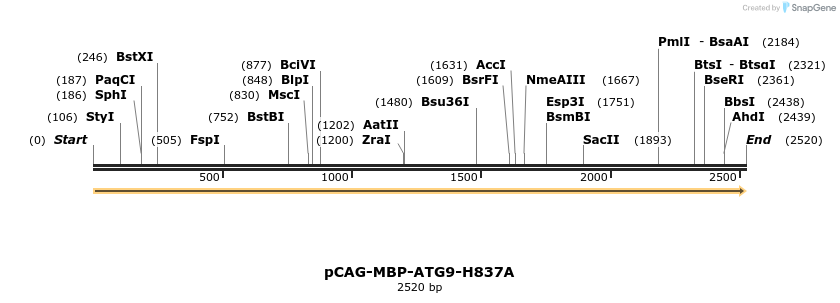 364941_map