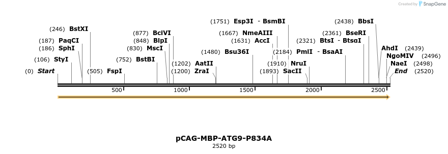 364944_map
