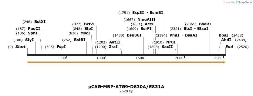 364947_map