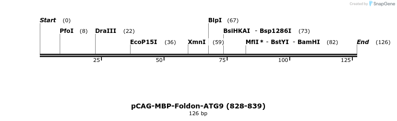 364952_map