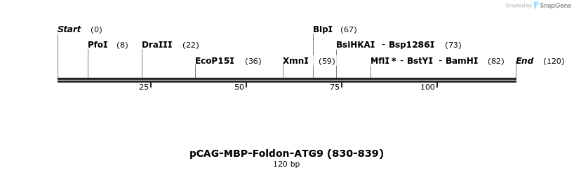 364953_map
