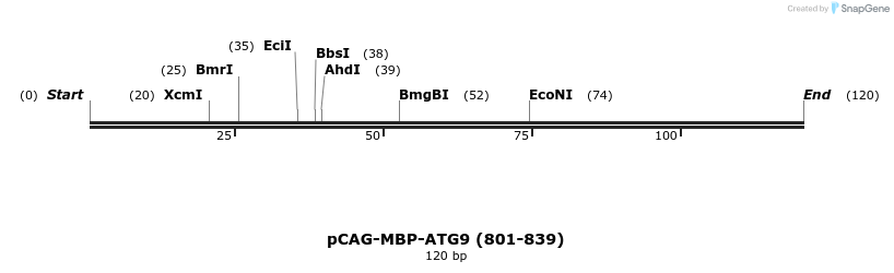 364955_map
