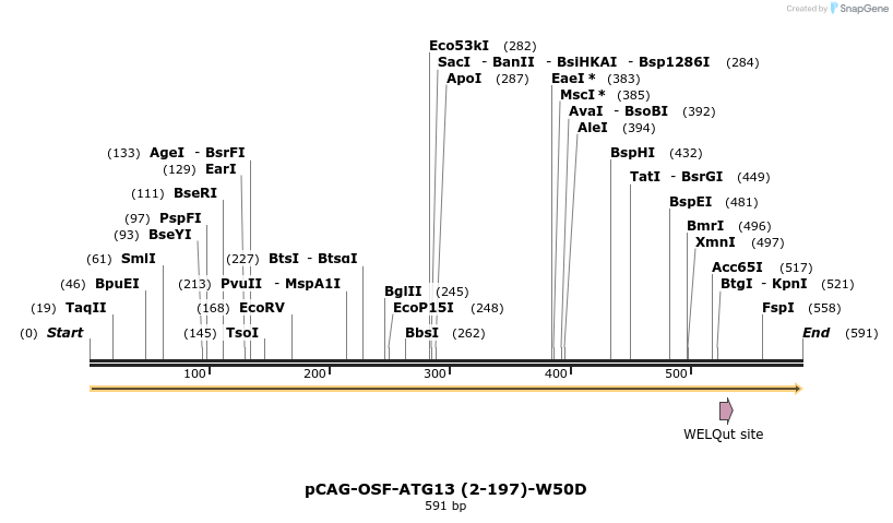 364960_map