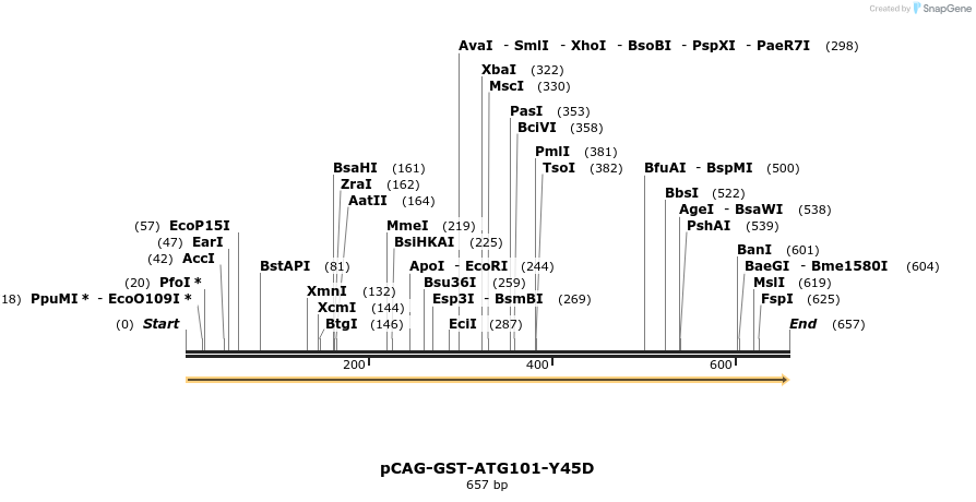 364967_map