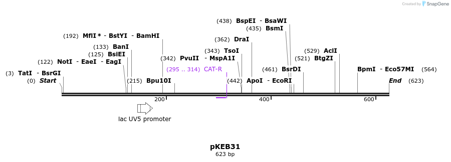 36497_map