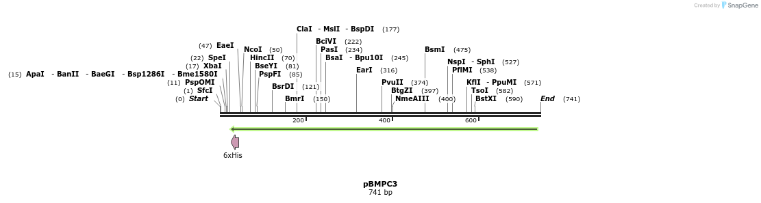 36515_map