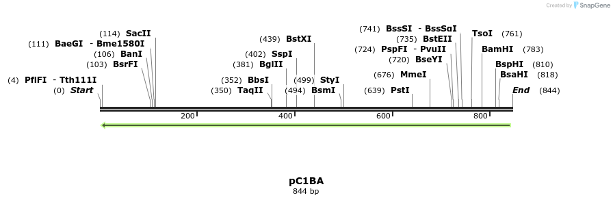 36517_map