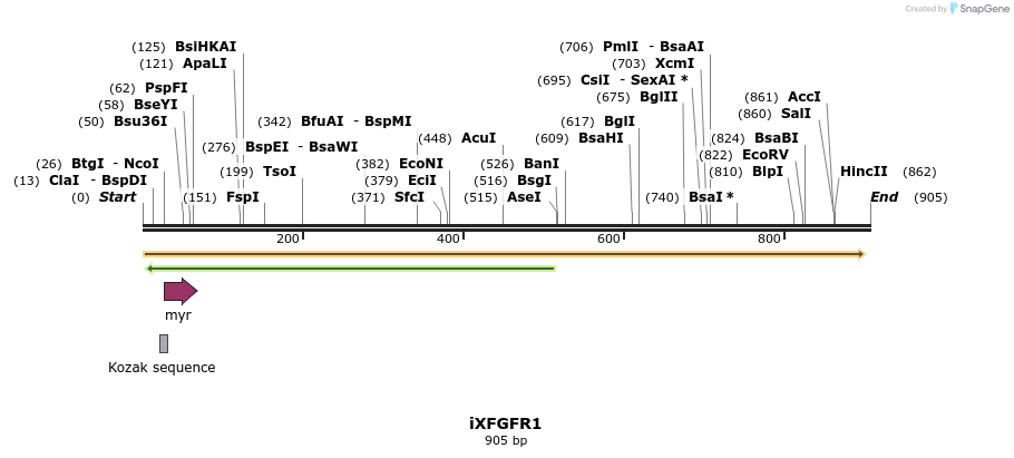 36518_map