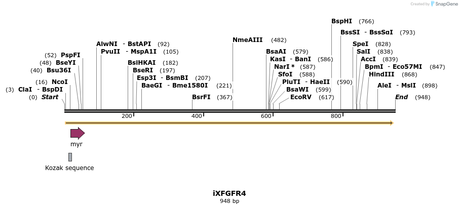 36520_map