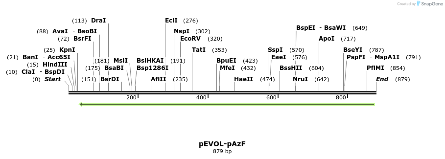 36535_map