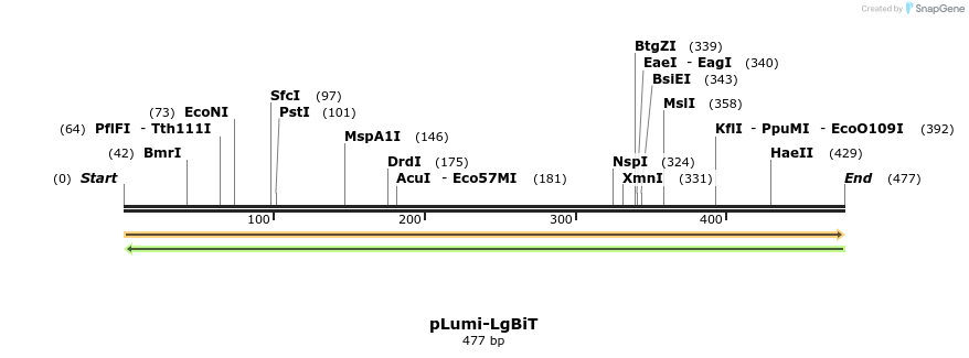 365557_map