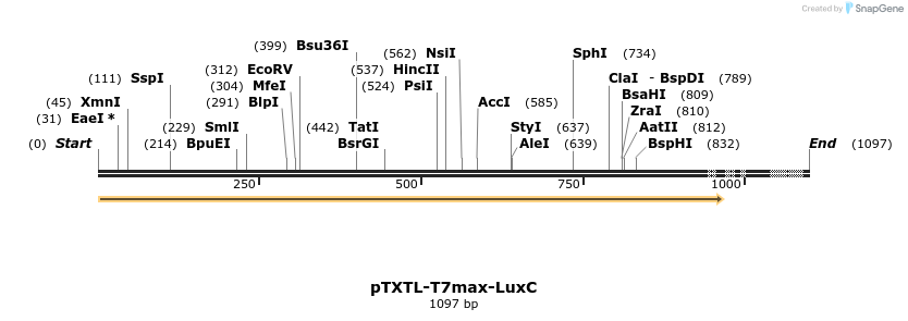 365567_map