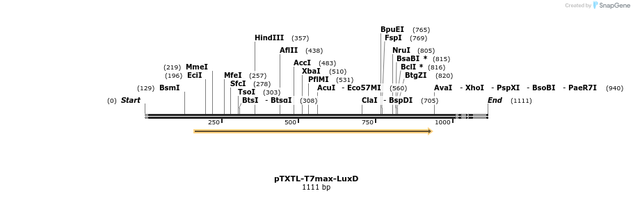 365569_map