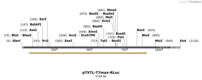 365577_map