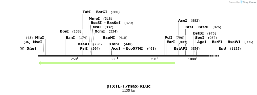 365578_map