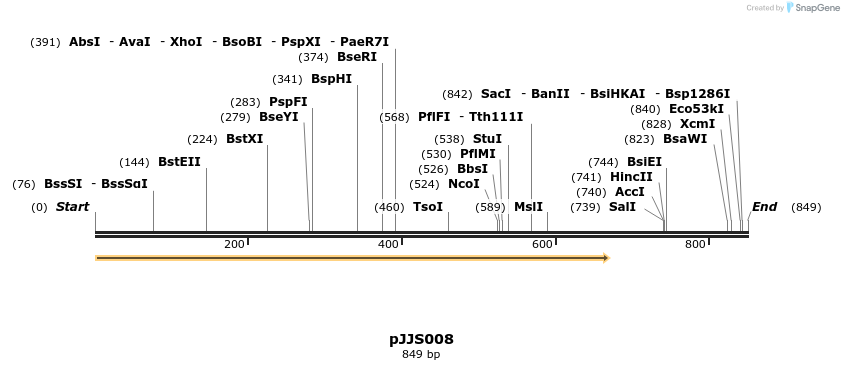 365671_map