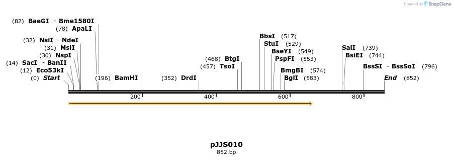 365677_map