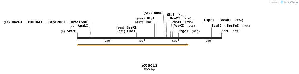 365683_map