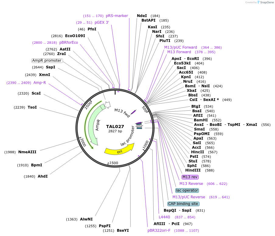 36580_map