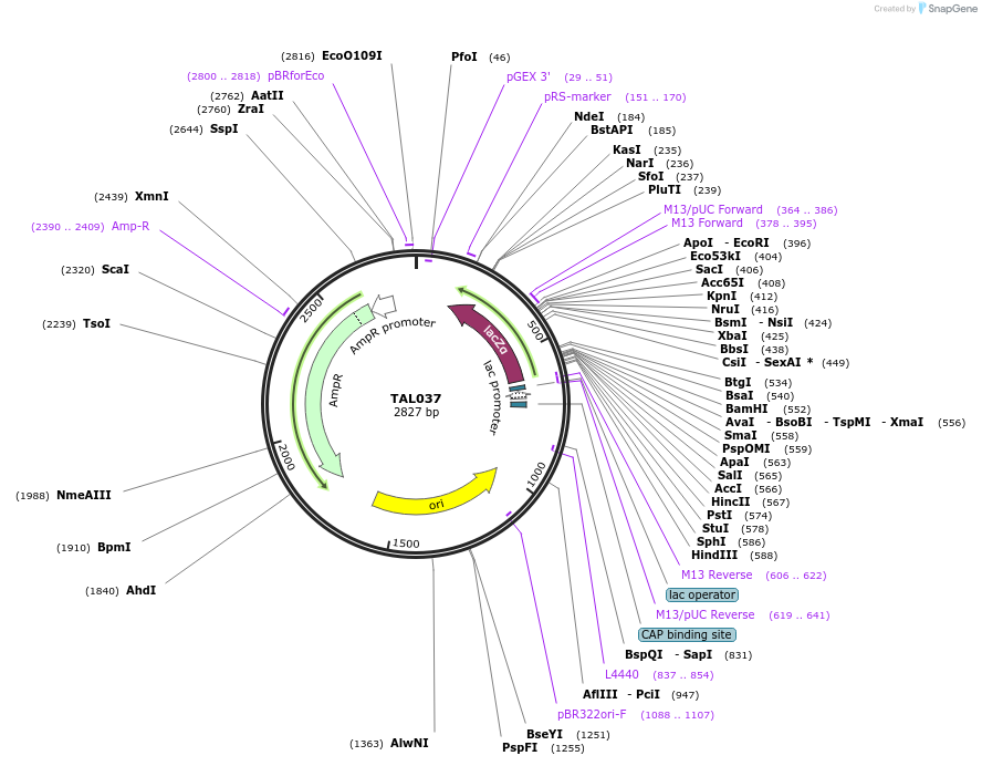 36588_map