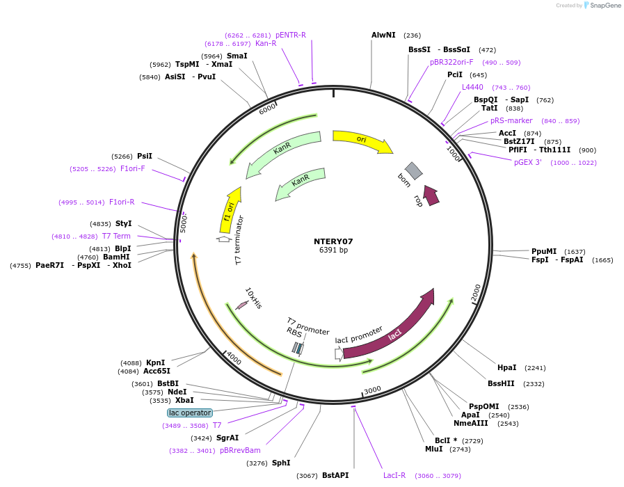 365937_map