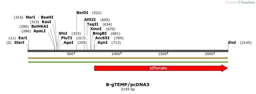 365980_map