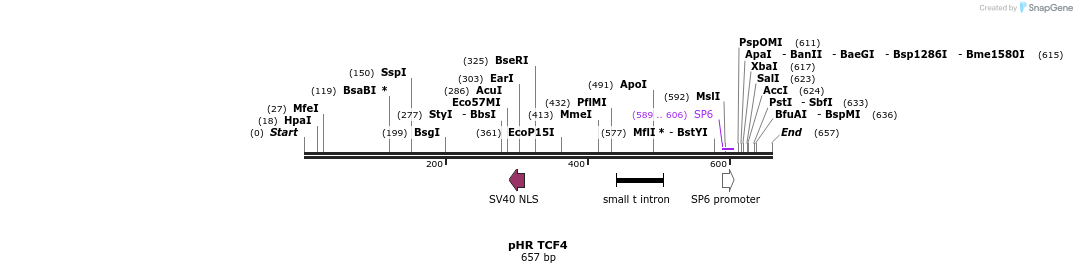 36617_map