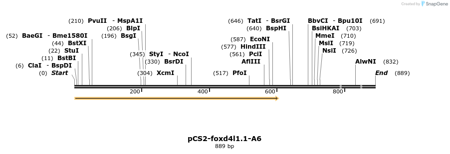 366339_map