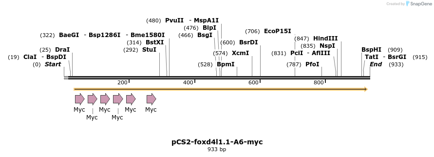 366342_map