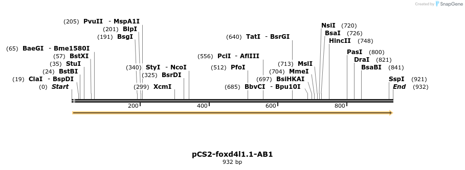 366345_map