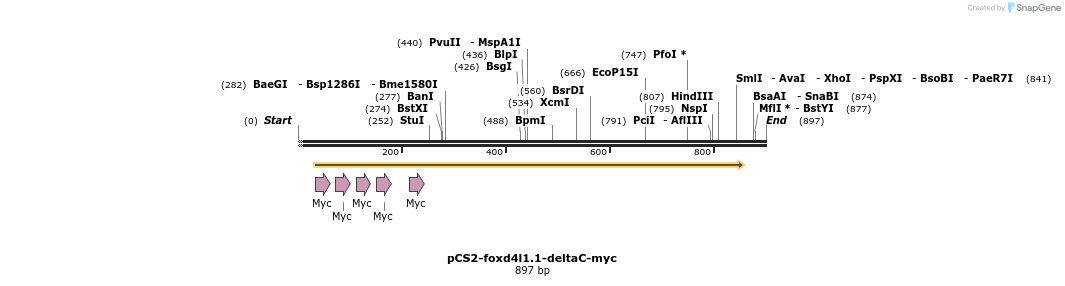 366473_map