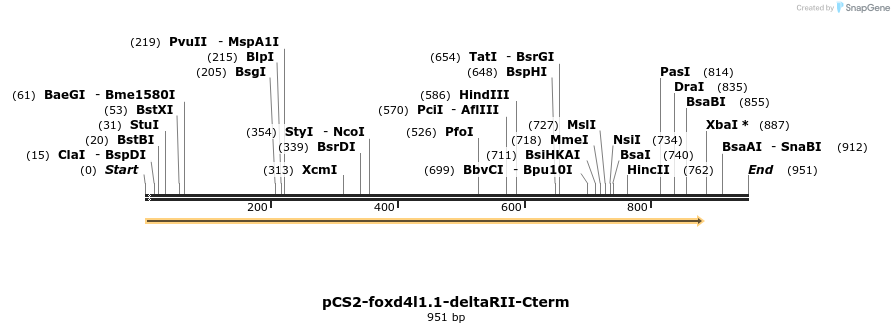 366548_map