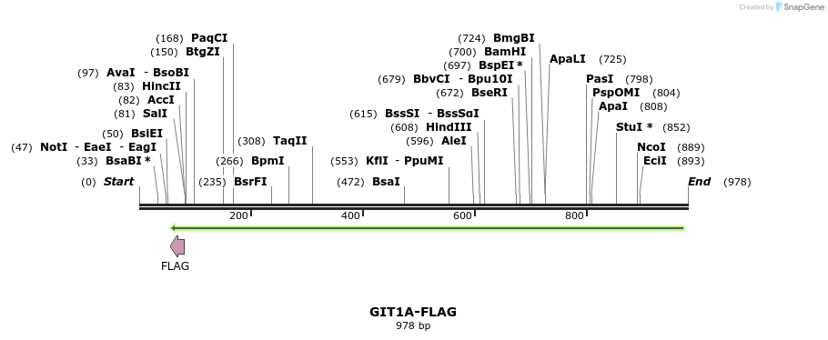 36657_map