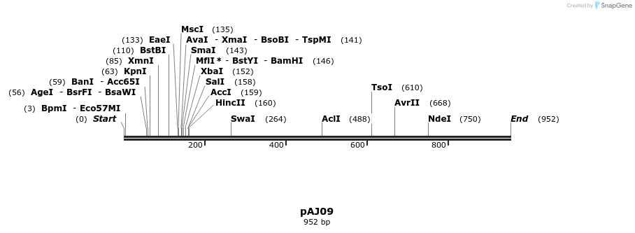 36673_map