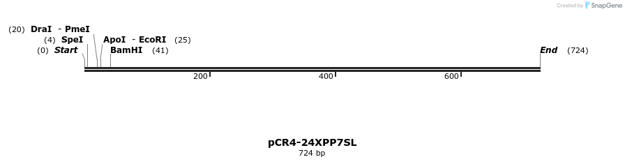 36676_map