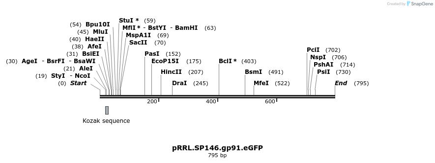 36689_map