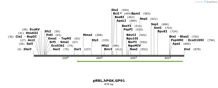 36694_map
