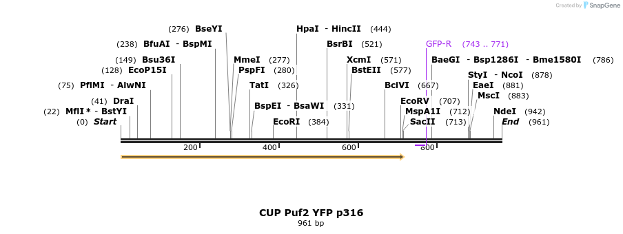 36697_map