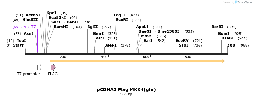 36701_map
