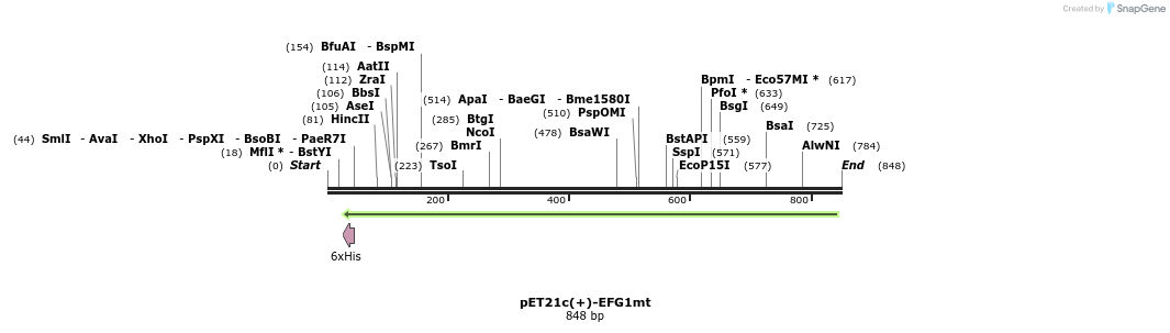 36702_map