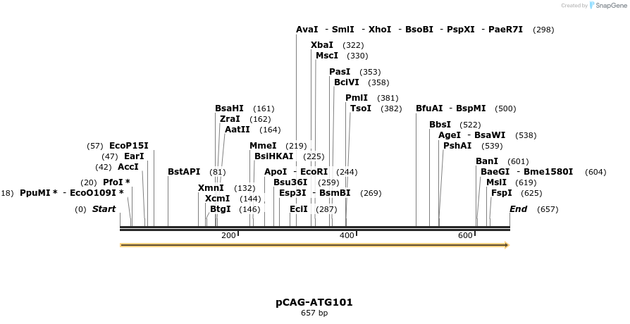 367032_map