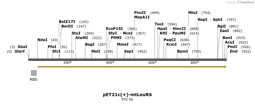 36705_map