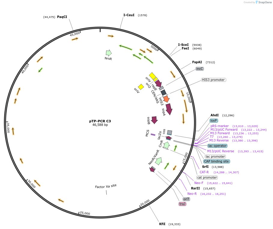 367060_map