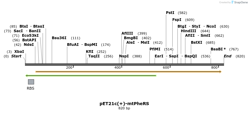 36707_map