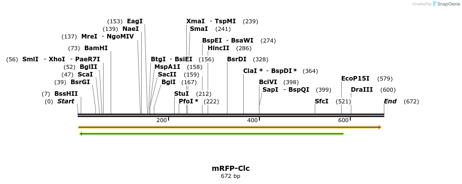 36710_map
