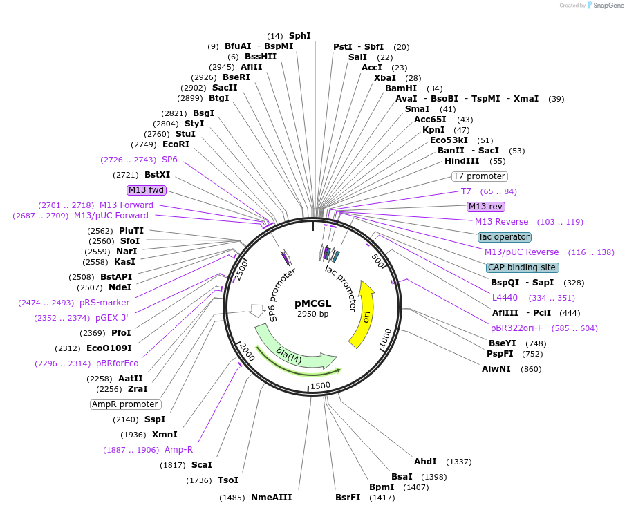 36713_map