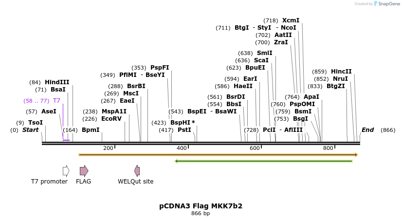36715_map