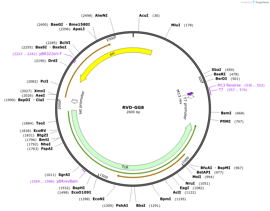367182_map