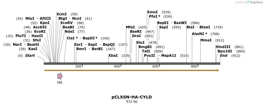 36723_map