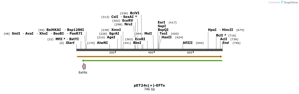 36733_map